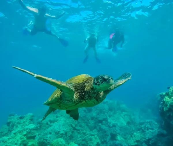 21 Best Places to Visit in December in the USA (2025 Edition)