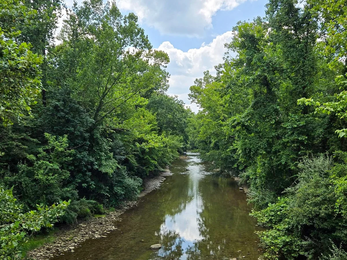 River winding through green forest under blue sky