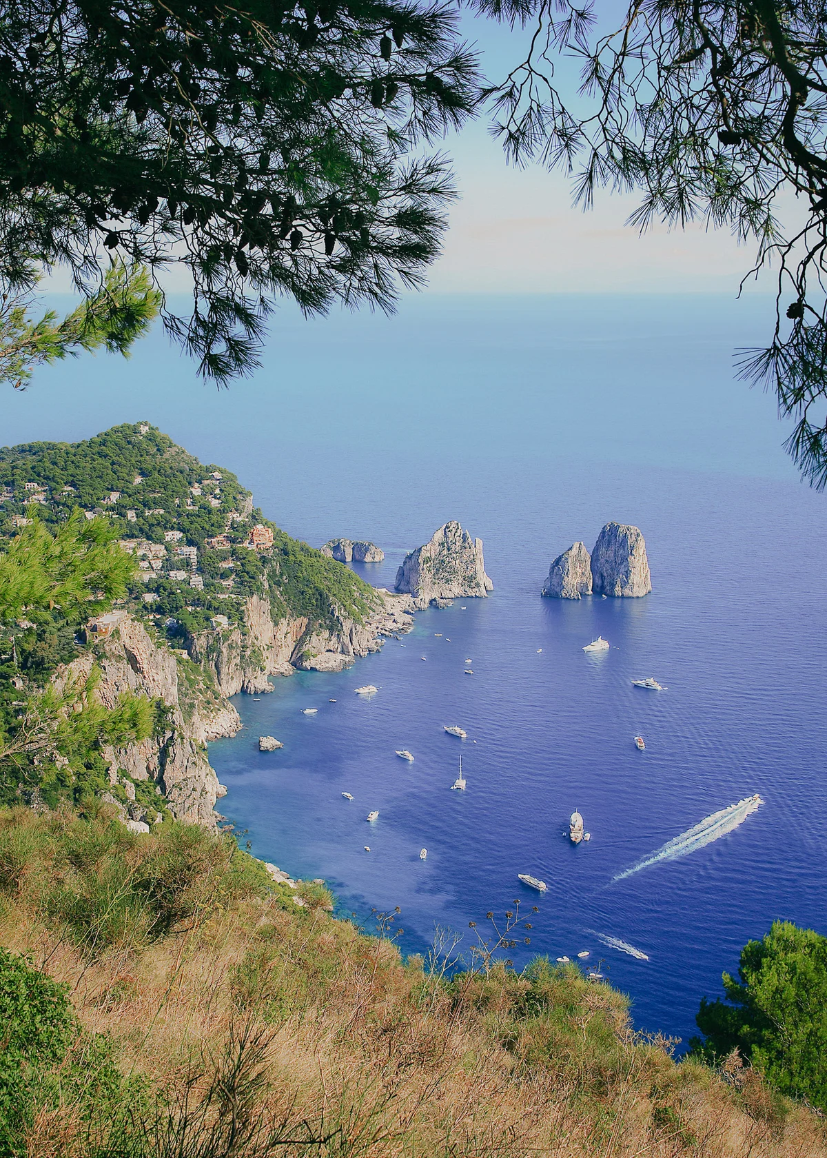 Capri's Faraglioni sea stacks seen from a high cliff path, boats in the blue water
