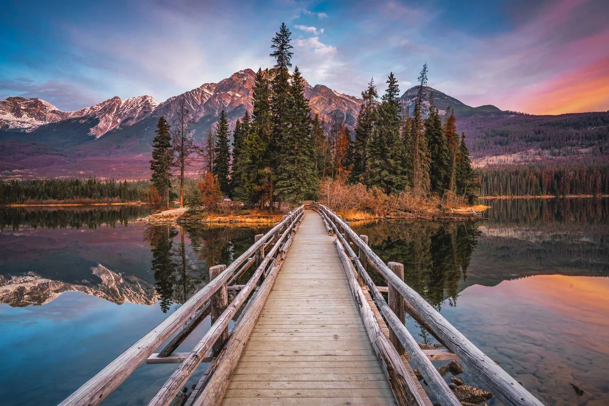 Misty pines and mountain peaks at dawn in Jasper National Park