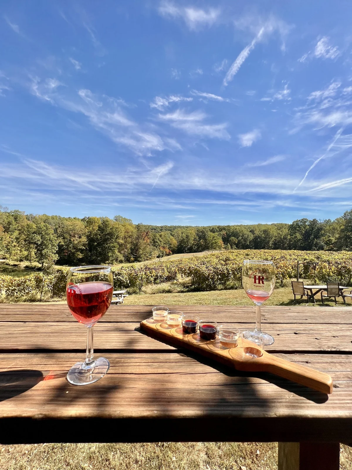 Wine tasting table with vineyard rows and blue sky background