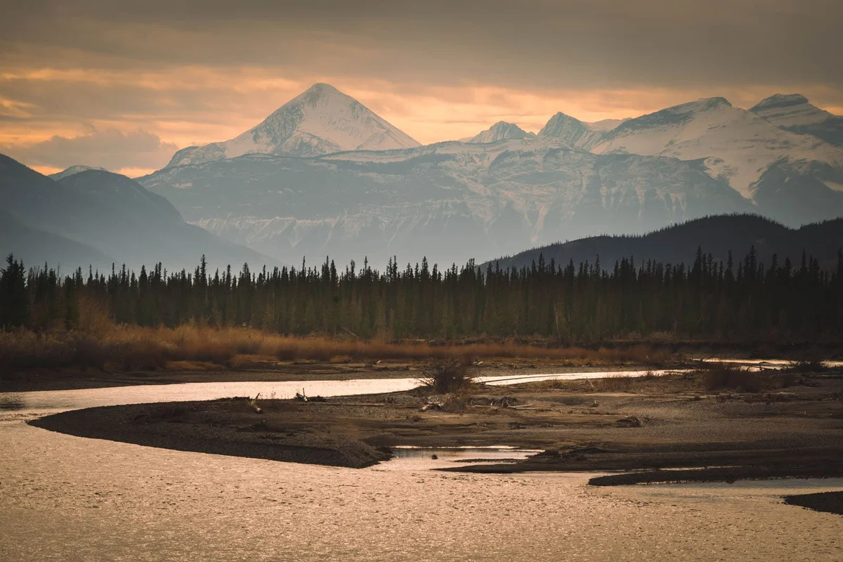 Rocky Mountains at sunrise, dark evergreen silhouettes, golden sky