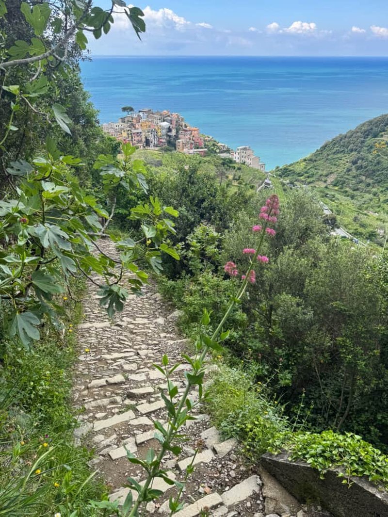 Stone path descending toward Manarola village