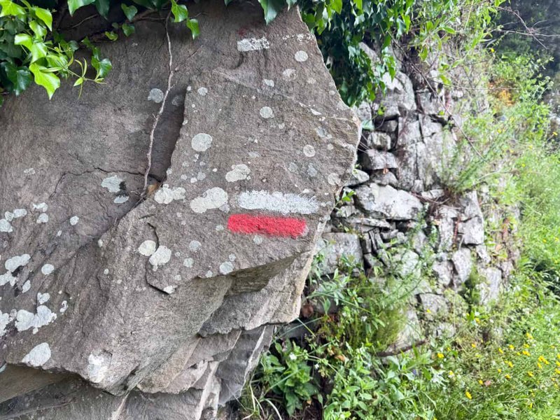 Red and white trail markers on lichen-covered rock