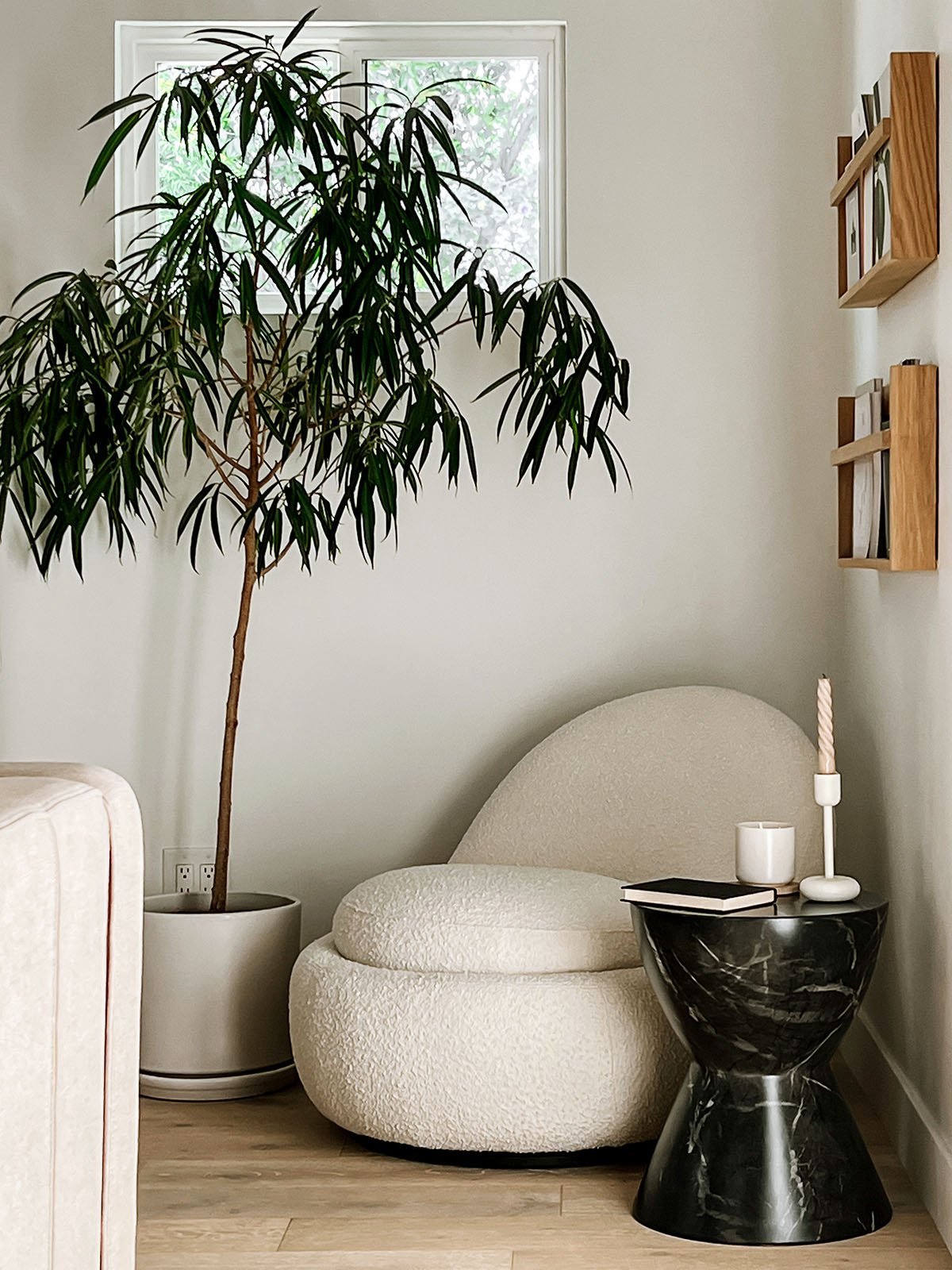 Tall indoor plant creating canopy over reading chair