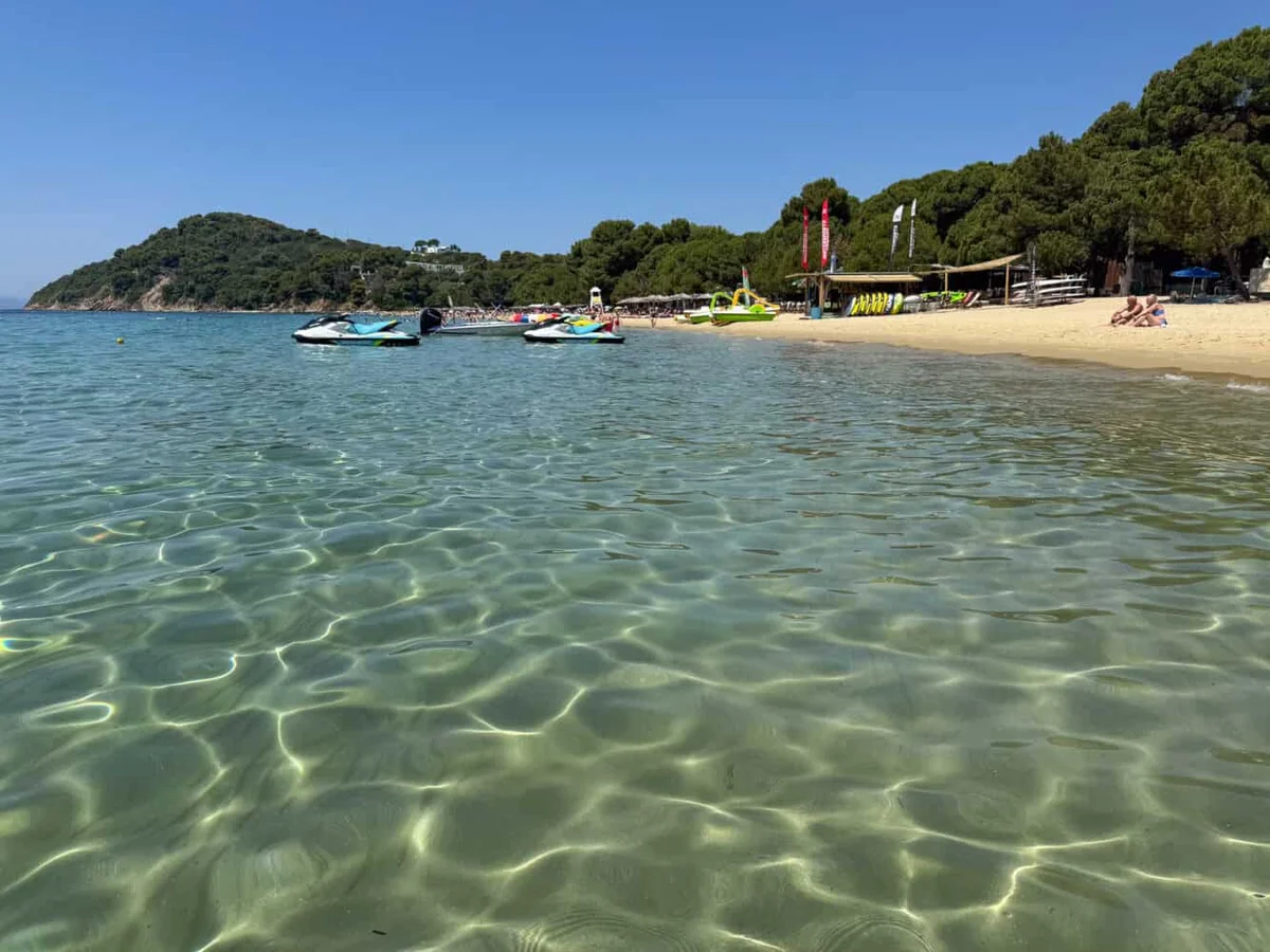 Koukounaries golden sand beach backed by pine trees
