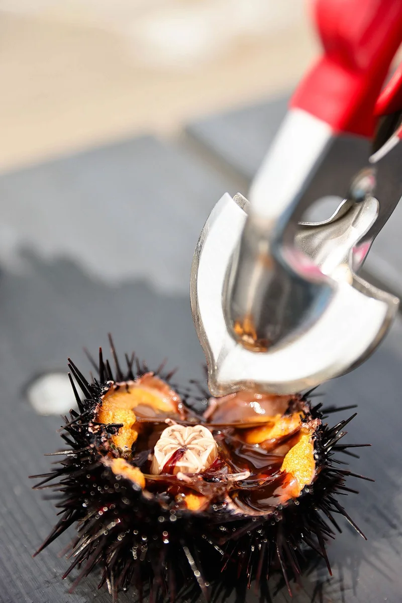 image-04.webp