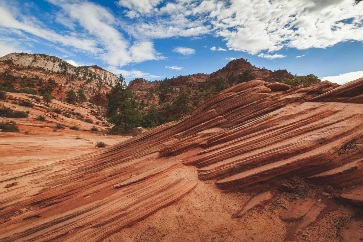 Zion National Park narrow canyon with towering sandstone walls
