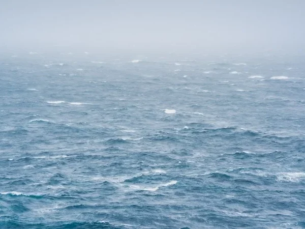 The Day I Became a Research Assistant on an Antarctica Cruise