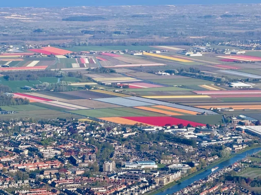 Aerial view of Lisse and the surrounding tulip fields in bloom
