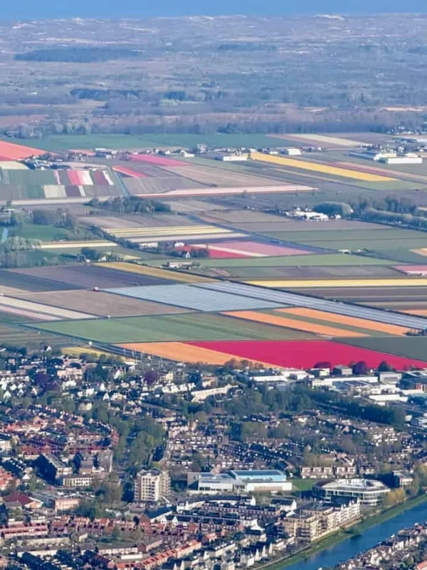 The Tulip Fields, Seen From the Air: A Window Seat Tip for Schiphol