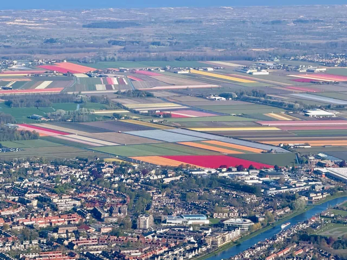 Aerial view of Lisse and the surrounding tulip fields in bloom
