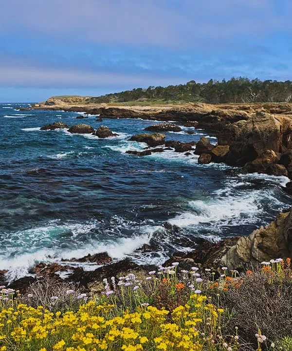 San Francisco to Los Angeles Drive: Which Route Should You Take?