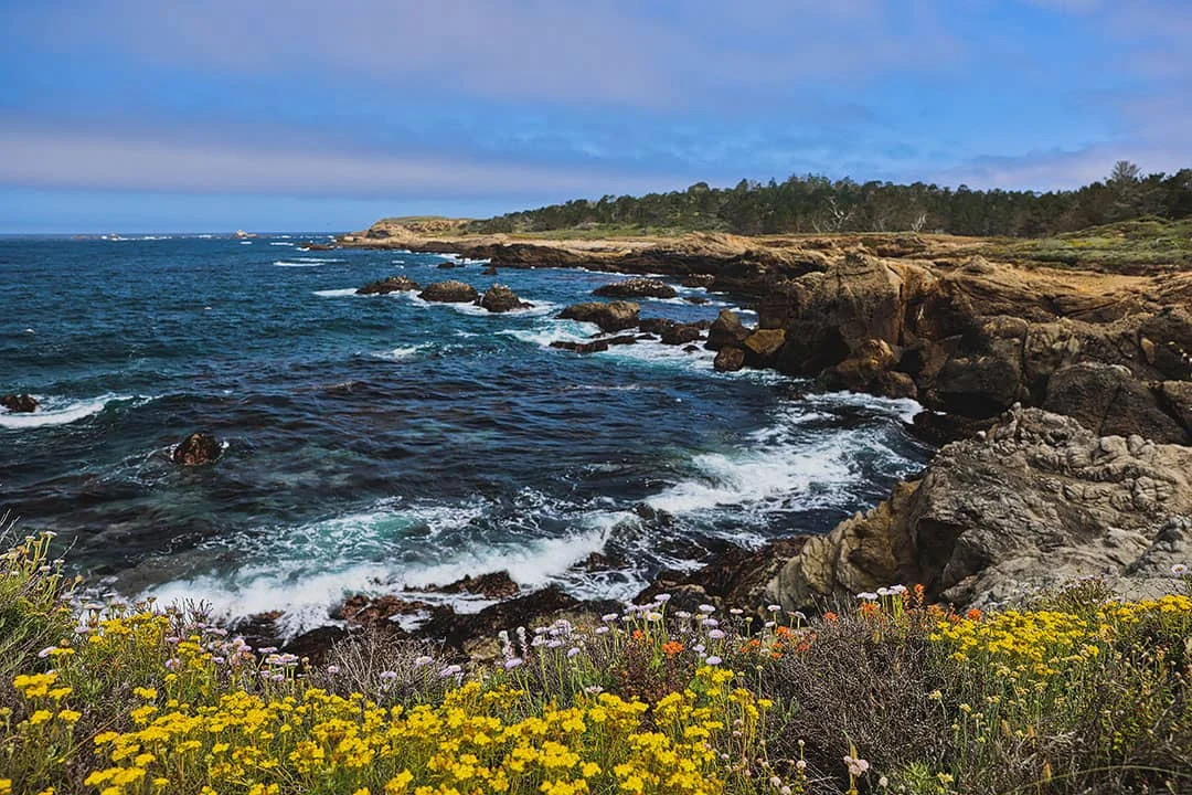 California coastal highway stretching toward the Pacific Ocean at golden hour