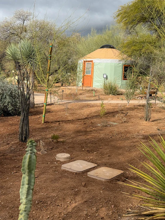Yurt lodging surrounded by cacti and desert plants