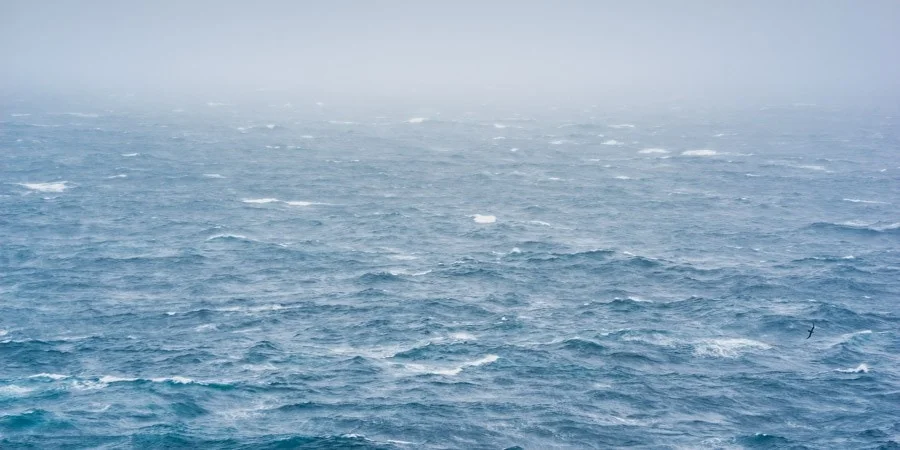 Empty Southern Ocean seascape from an expedition ship