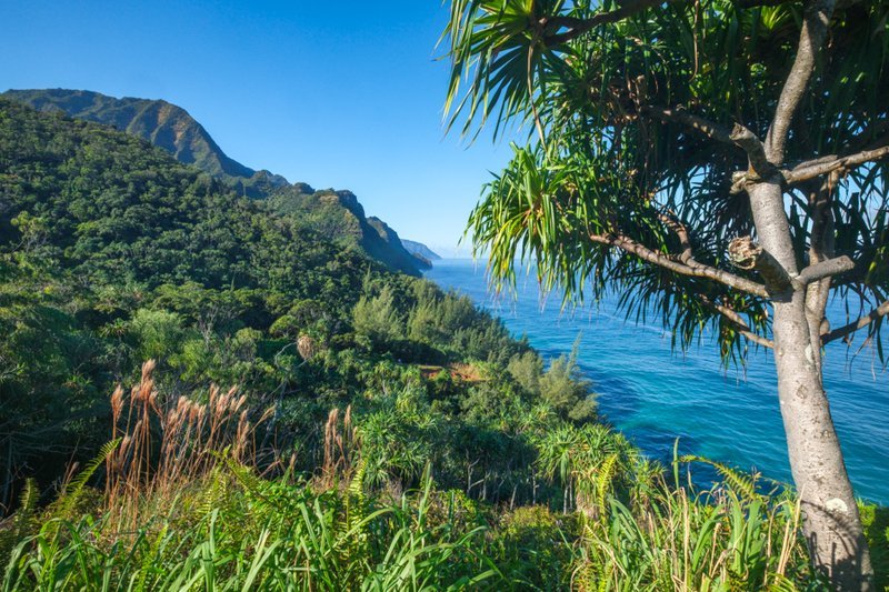 Steep coastal mountainside descending to turquoise ocean cliffs