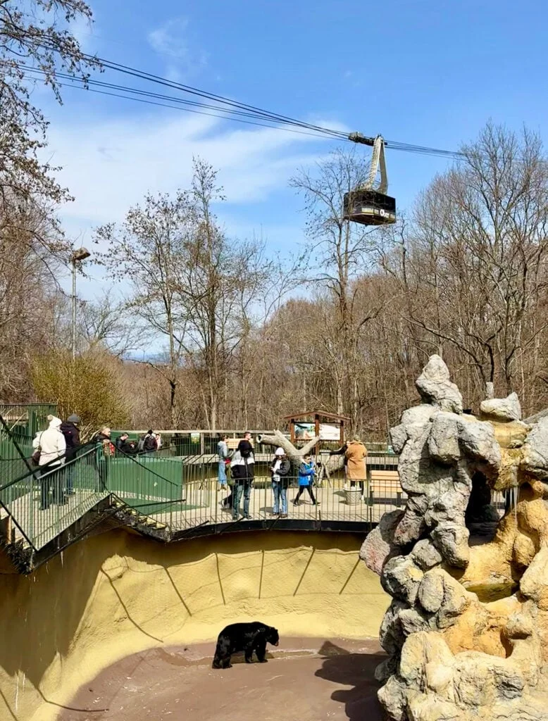 Tram passing over the Ober Mountain wildlife habitat