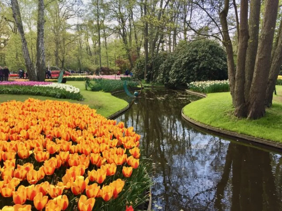 Keukenhof gardens in full spring bloom